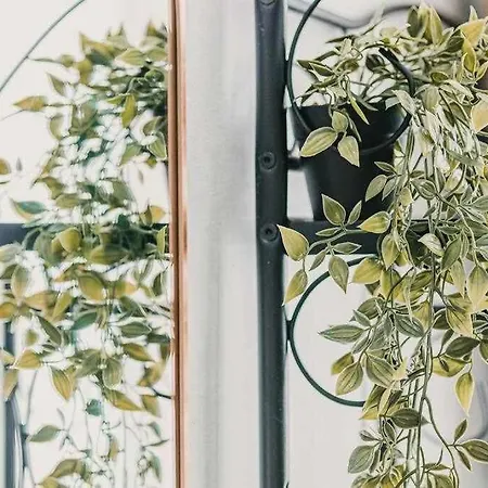 Estudio Pride شقة *