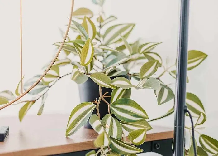 Апартаменты Estudio Pride Torremolinos. *