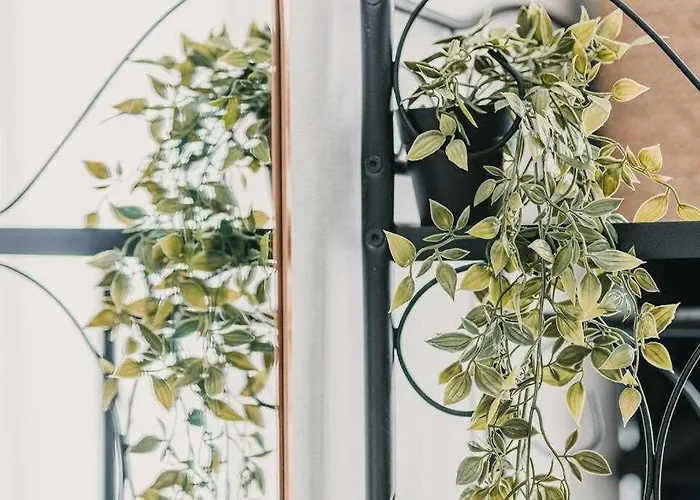 Estudio Pride Apartamento *